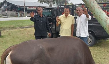 Satuan Polisi Pamong Praja Kabupaten Bengkalis Serahkan Satu Ekor Sapi untuk Qurban ke DPC PPDI kabupaten Bengkalis 