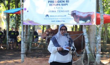 Masyarakat Desa Ketawangrejo Terima Sapi Bantuan Presiden Berbobot 1,1 Ton