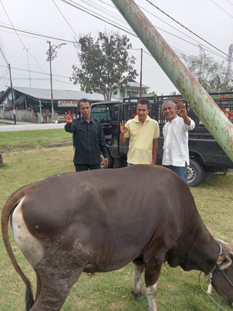 Satuan Polisi Pamong Praja Kabupaten Bengkalis Serahkan Satu Ekor Sapi untuk Qurban ke DPC PPDI kabupaten Bengkalis 