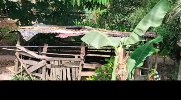 Warga Perum Athaya Kampar Resah Akibat Limbah Kandang Babi