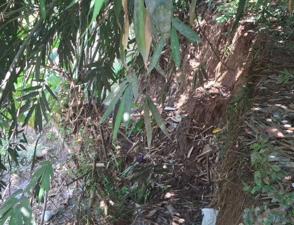 Abrasi Sungai Bedono Terus Menggerus Tepus Wetan, Rumah dan Makam Hilang, Warga Menanti Tindakan