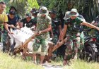 Tembus Jalan 1,5 Kilometer dengan Gerobak Sorong, Satgas TMMD Kodim 0313/KPR Langsir Material Rumah Ibu Diasan