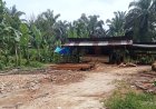 Dibekingi Tokah  Adat,  17 Sawmill Illegal Bebas    Beroperasi  di Teratak Buluh. —Detik Aktual News.com