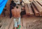 Olah Ratusan Kubik Kayu Ilegal,Polda Riau diminta tertipkan 17 Sawmil Ilegal di Teratak Buluh,Riau.       Detik Aktual News.Com.