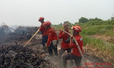 BPBDPK Riau Apresiasi RPK PT Arara Abadi Ikut Berjibaku Padamkan Api di Kecamatan Kerumutan