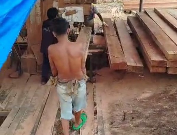 Olah Ratusan Kubik Kayu Ilegal,Polda Riau diminta tertipkan 17 Sawmil Ilegal di Teratak Buluh,Riau.       Detik Aktual News.Com.