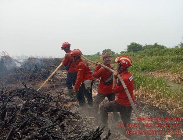 BPBDPK Riau Apresiasi RPK PT Arara Abadi Ikut Berjibaku Padamkan Api di Kecamatan Kerumutan