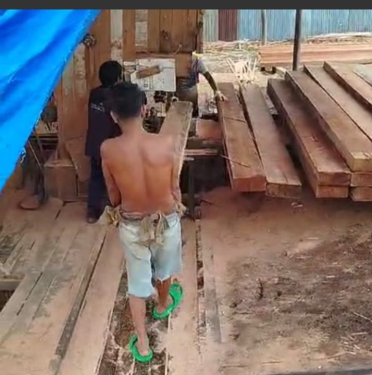 Olah Ratusan Kubik Kayu Ilegal,Polda Riau diminta tertipkan 17 Sawmil Ilegal di Teratak Buluh,Riau.       Detik Aktual News.Com.